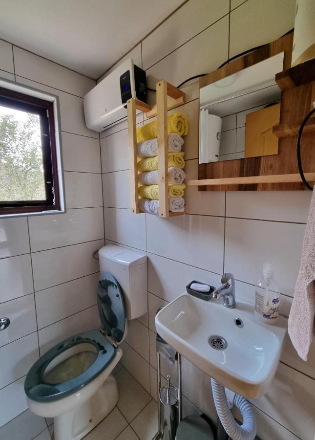 הוילה זבורניק Vikendica Mihic מראה חיצוני תמונה